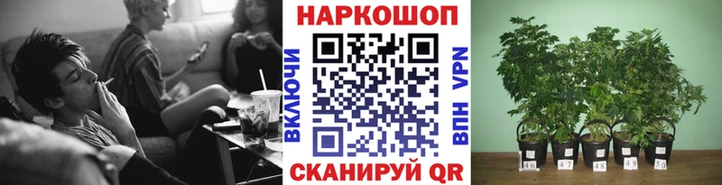 Где найти наркотики Шлиссельбург Cocaine Меф мяу мяу Галлюциногенные грибы Конопля OMG онион A PVP