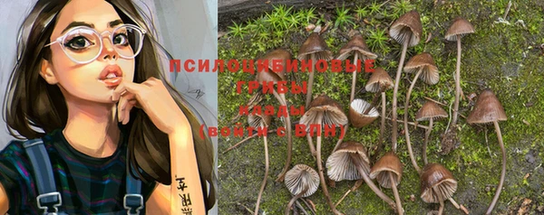 герыч Абинск