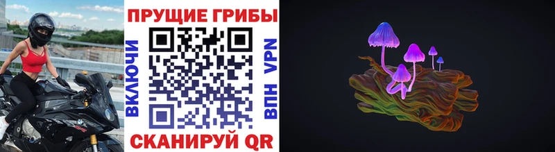 Псилоцибиновые грибы мухоморы Шлиссельбург
